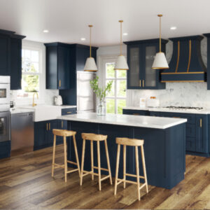 aria-blue-in-kitchen